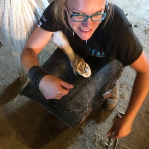 EM Farrier  tiny toes